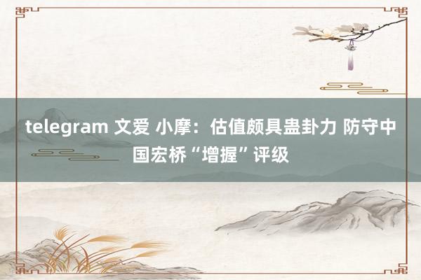 telegram 文爱 小摩：估值颇具蛊卦力 防守中国宏桥“增握”评级