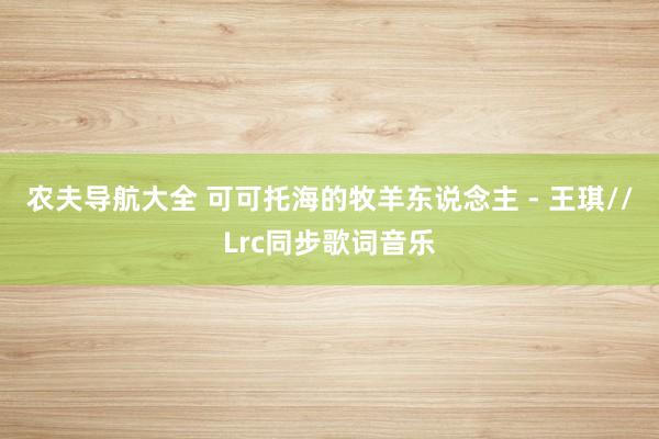 农夫导航大全 可可托海的牧羊东说念主 - 王琪//Lrc同步歌词音乐