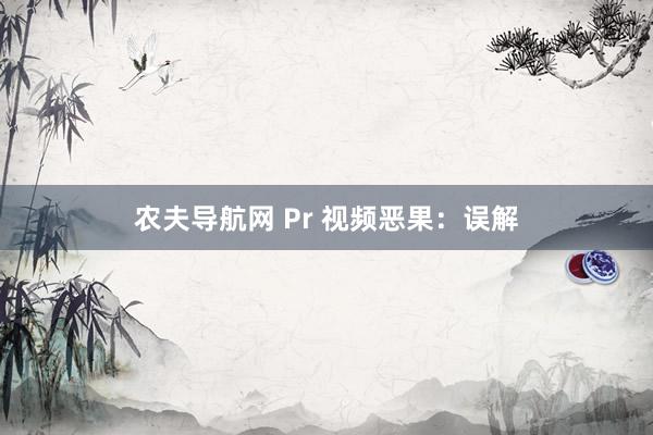农夫导航网 Pr 视频恶果：误解