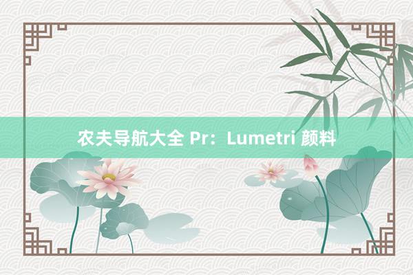 农夫导航大全 Pr：Lumetri 颜料