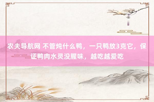 农夫导航网 不管炖什么鸭，一只鸭放3克它，保证鸭肉水灵没腥味，越吃越爱吃