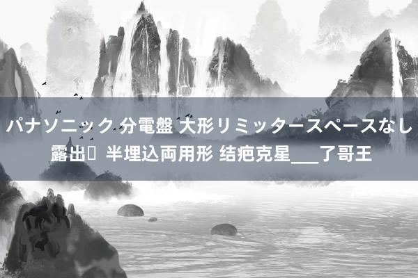 パナソニック 分電盤 大形リミッタースペースなし 露出・半埋込両用形 结疤克星___了哥王