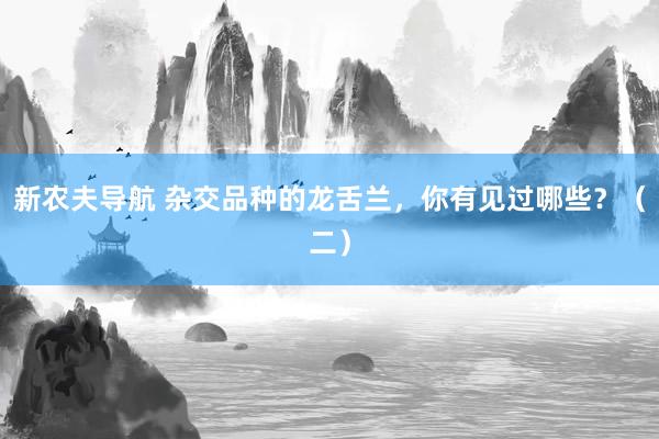 新农夫导航 杂交品种的龙舌兰，你有见过哪些？（二）