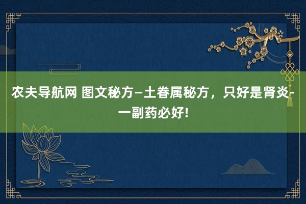 农夫导航网 图文秘方—土眷属秘方，只好是肾炎-一副药必好!