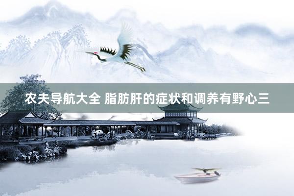 农夫导航大全 脂肪肝的症状和调养有野心三