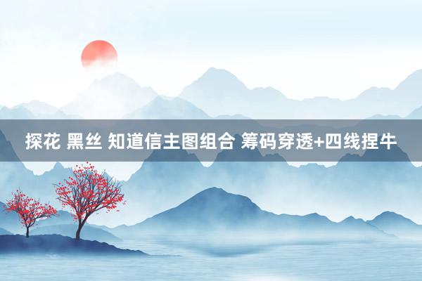 探花 黑丝 知道信主图组合 筹码穿透+四线捏牛