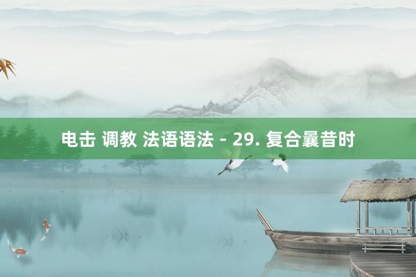 电击 调教 法语语法 - 29. 复合曩昔时