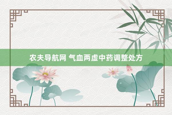 农夫导航网 气血两虚中药调整处方