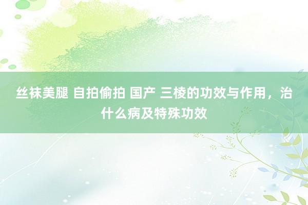 丝袜美腿 自拍偷拍 国产 三棱的功效与作用，治什么病及特殊功