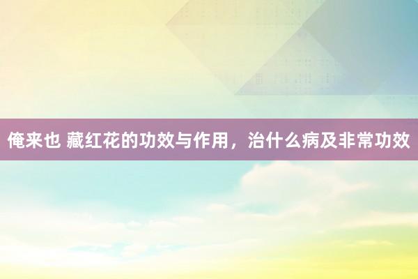 俺来也 藏红花的功效与作用，治什么病及非常功效