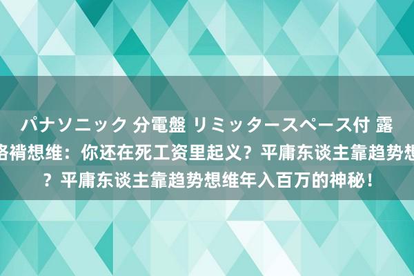 パナソニック 分電盤 リミッタースペース付 露出・半埋込両用