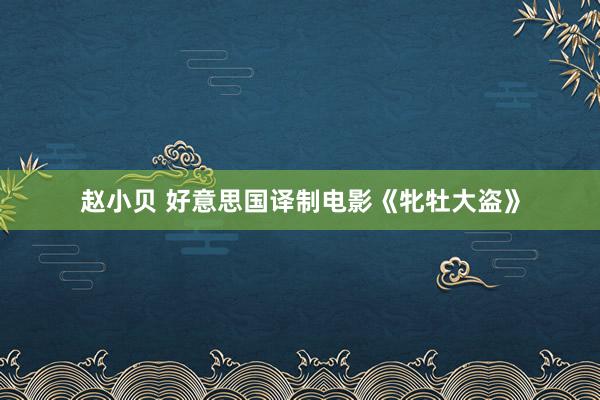 赵小贝 好意思国译制电影《牝牡大盗》
